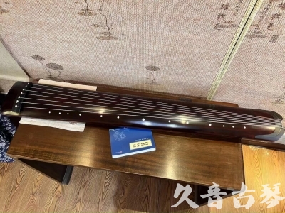 阿克苏地区●久音古琴  ●今日推荐20230915  [顶级演奏正和]